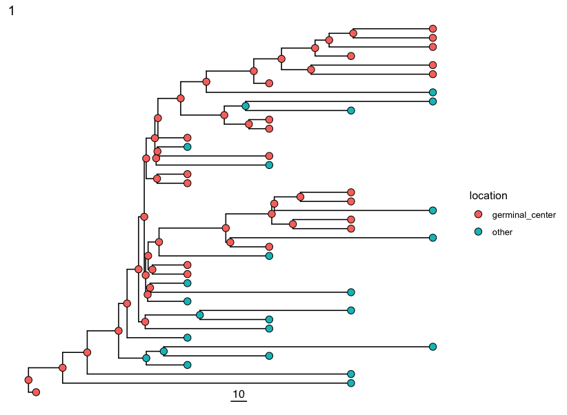 _images/Building-Time-Trees-mixed-trees.png
